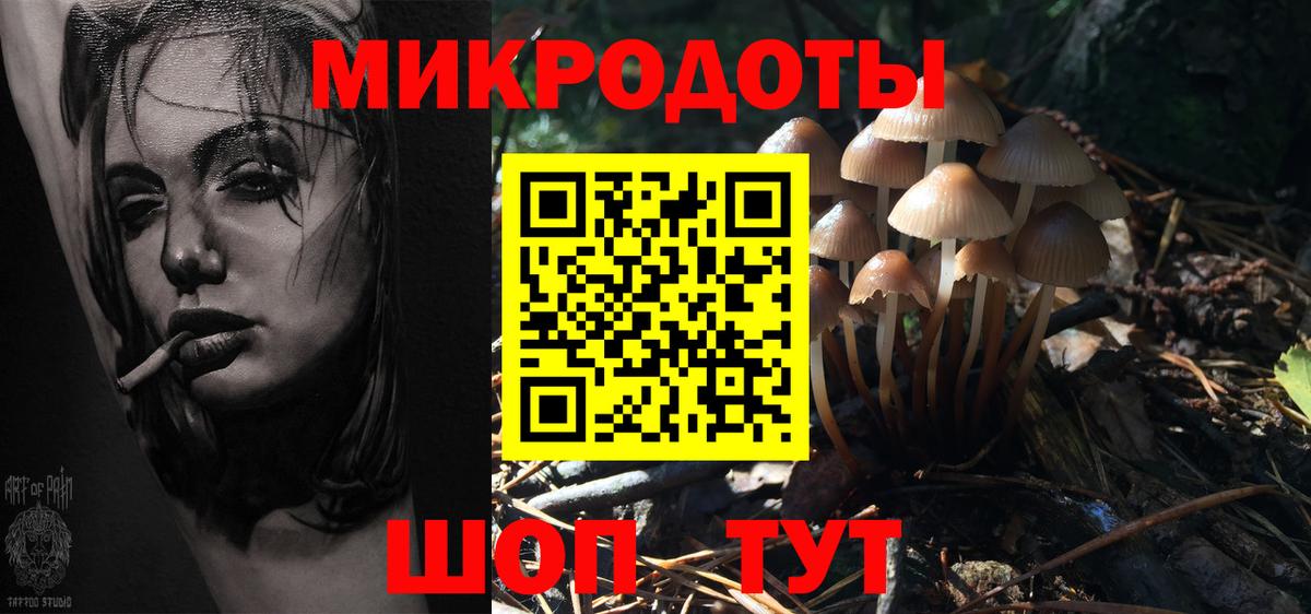 Кандалакша  Псилоцибиновые грибы MAGIC MUSHROOMS  Вход с VPN 